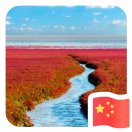 用户发起投诉