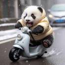 南充偷甘蔗首席NPC阿金