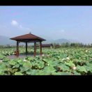 倪仕寬