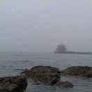 郑州金水杨红梅