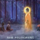 达尔文-紫琪