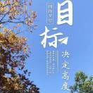 万石网*矿业*工厂*网络货运