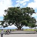 TL同学的头像-由甫网