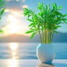 朝阳百货 张涛