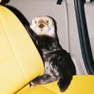 Bright????????头像