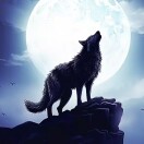 夜色之中独来独往