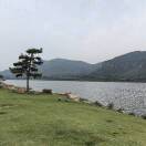 山东卡友69723850头像