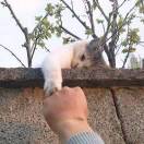 Futre.的头像-博士钣金 - www.bsbanjin.com