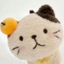 且仅