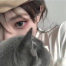 何先生的头像