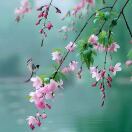 李瑛