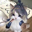 耄耋爱哈气