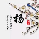 心无定所