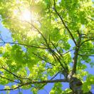 用户70925304的头像-博士钣金 - www.bsbanjin.com