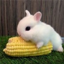 赵先生的头像