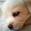 iQ Highbury转租&房东直租