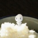 王思涵