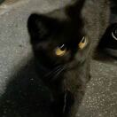 XxxiNNinee????头像