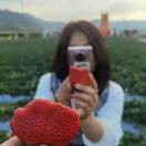 孙丹月 — Liaoning-Shenyang - 小猪导航 - 社交电商行业全国微信群二维码导航平台大全