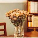 揽月红樽·尊享小管家