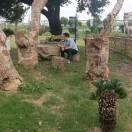 飘叶寻梦的头像主用 -、辅助 +中赚资源