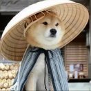 張繼東