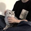 把戏