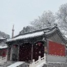 卿卿的头像