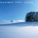 向好
