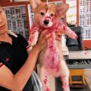 不吃火龙果的头像-梦马考研