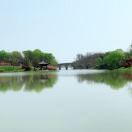 滨湖小学