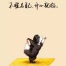 会飞的鱼