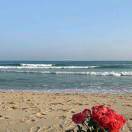 🌹🌹🌹🌹-زىلكار تور تېخنىكىسى زىلكار تور تىخنىكىسى