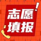 高考规划老师