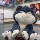 我姓吴，所以无所谓