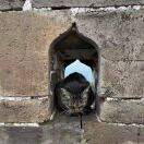 Costume Store转租&房东直租