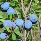 冰箱里的悄悄话