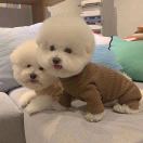 会计宝