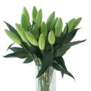 奔驰的骏马26675