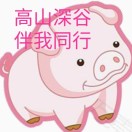 肥豬
