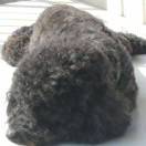 高新投三江李川17378385541