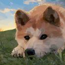 就在今天