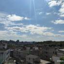 有心栽柳、无心插花的头像 - 校园论坛