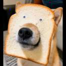 用户73544441的头像 - 校园论坛