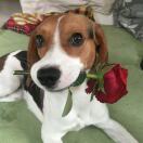 lil D的头像-电气考研