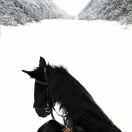 qqqkaka的头像-鼓腹而游