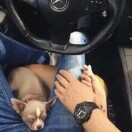 温暖如海🔆一键转发土鸡蛋