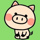 呆萌猪优惠券