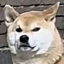 、的钢琴谱