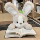 一口蛋黄酱的个人空间